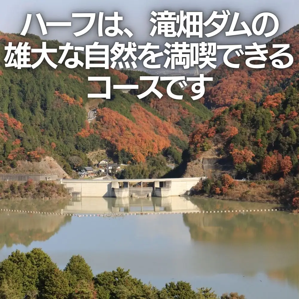 河内長野市シティマラソン　ハーフの部（21.0975km） 出走権 『ハーフは最後』