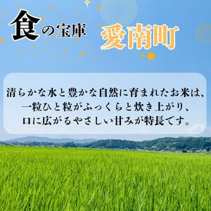 【新米】 令和7年産 コシヒカリ 5kg 新米 愛媛県 愛南町 青果市場