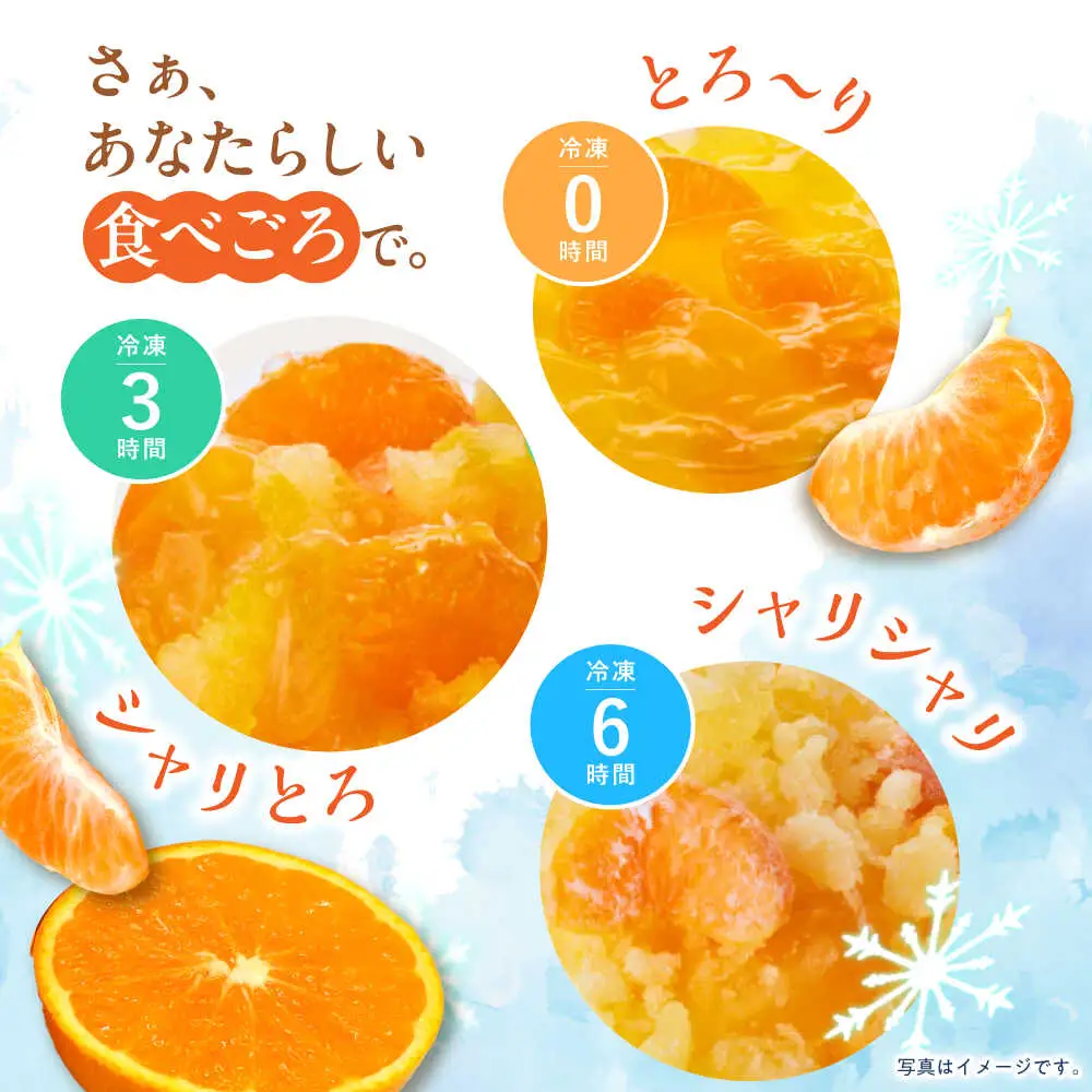とろける味わい 200g 6種×各6個 計36個セット(みかん・ミックス・白桃・ぶどう・ピンクグレープフルーツ・シャインマスカット) [AHBR040]