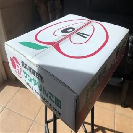 農家直送　青森県産　王林　家庭用　約5kg(18個前後入り)　甘い青りんごの定番【1598177】