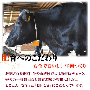 牛肉 牛バラ 300g 切り落とし あしたか牛 赤身