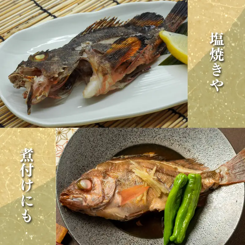 訳あり メバル 3尾 大きさ不揃い 下処理済み 冷凍 ワガ 3匹 めばる