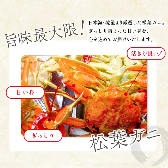 【蒸し】タグ付き松葉ガニ 大 2枚 【松葉ガニ 松葉がに 松葉蟹 まつばがに かに カニ 冷蔵 チルド ブランド ズワイガニ 蒸し ボイル タグ付き 国産 季節限定 お取り寄せ お祝い 鳥取県 日吉津村 日本海】
