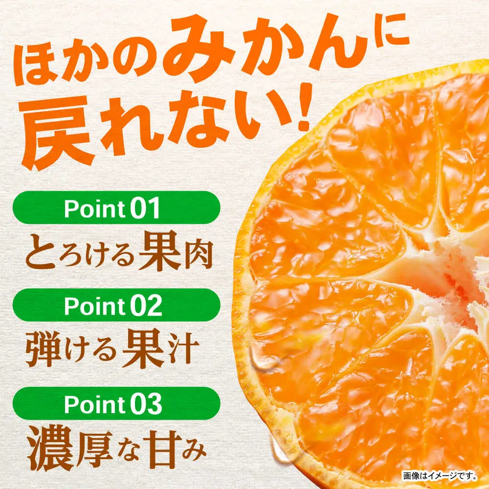 ※【2026年11月中旬より順次発送／先行予約】諫早市産 温州みかん 10kg / みかん ミカン 蜜柑 オレンジ フルーツ ふるーつ 果物 くだもの 10kg / 諫早市 / 肥前グローカル株式会社 [AHDI010]