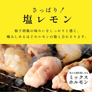〈スピード出荷〉黒毛和牛ホルモン（塩レモン  小分け 1kg）ホルモン MSK022