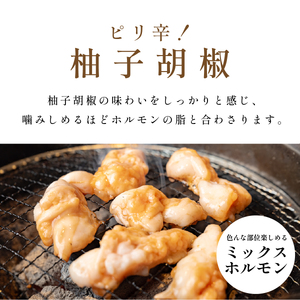 〈スピード出荷〉黒毛和牛ホルモン（柚子胡椒 小分け 1kg）ホルモン MSK026