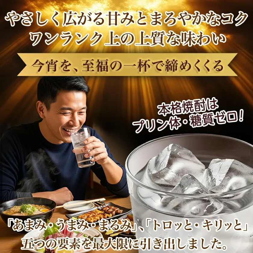 【ちび霧セット】黒霧島EX25度900mlパック×2本≪みやこんじょ特急便≫〔11-M8-K05P-900-2-Q〕_(都城市) 10日以内お届け スピード配送 霧島酒造 黒霧島EX 本格芋焼酎 25度 900mlパック×2本セット 5合 本格焼酎 いも焼酎 定番 焼酎 お酒 キリボール 宮崎県 都城市