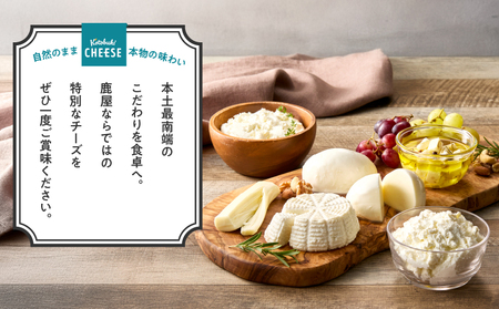 【 全12回定期便 】kotobuki cheese ナチュラルチーズセット KN087-T02 チーズ 乳製品