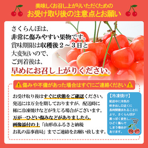 山形市産さくらんぼ【佐藤錦】Lサイズ 400g(200g×2パック)  【令和9年産先行予約】FS25-035