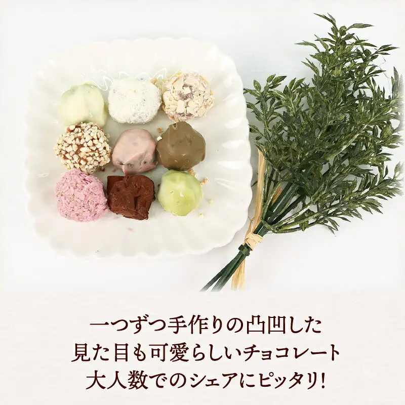 ロッシェ 25個 久遠 チョコレート ちょこちょこ チョコレート J010-167007