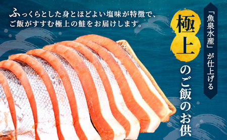塩銀鮭 訳あり 厚切り 切身 塩銀鮭【2kg(500g×4袋)】【冷凍】