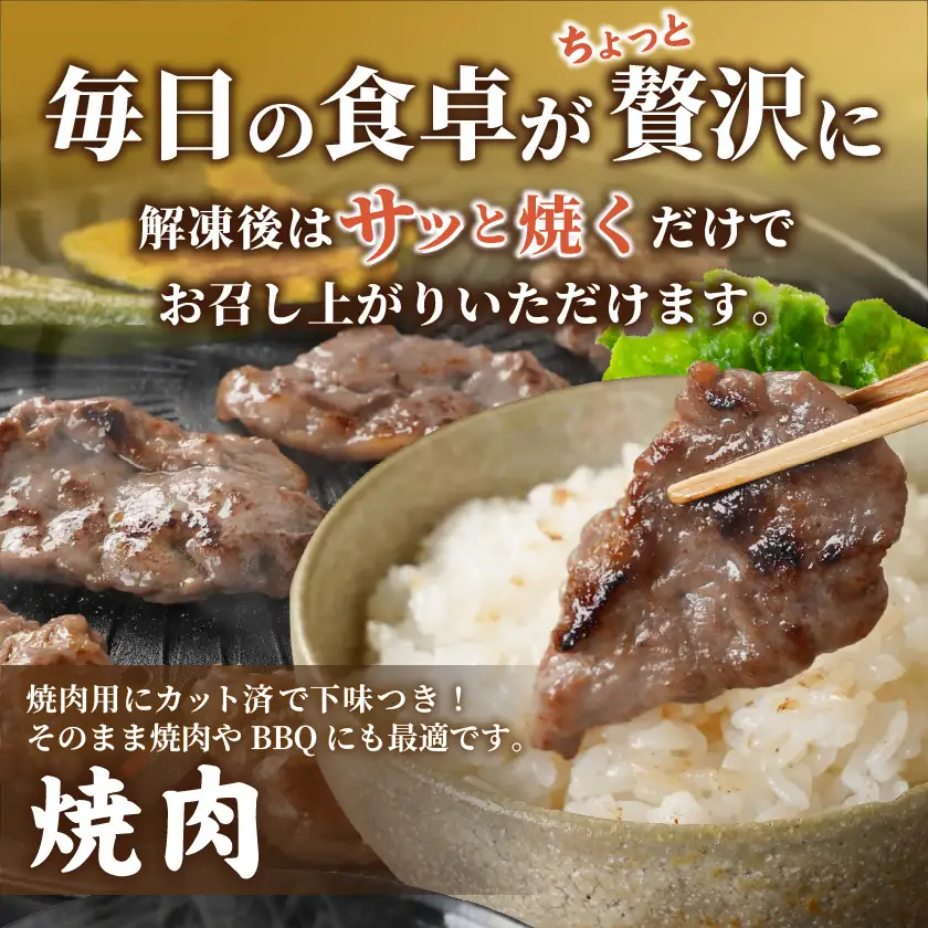 牛ヒレ塩麹タレ漬け900g(焼肉用カット)〔LG-3330〕_(都城市) 