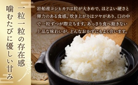 【新米受付・令和8年産米】新潟県村上市岩船産　岩船産コシヒカリ10kg（5kg×2袋）　1102002N