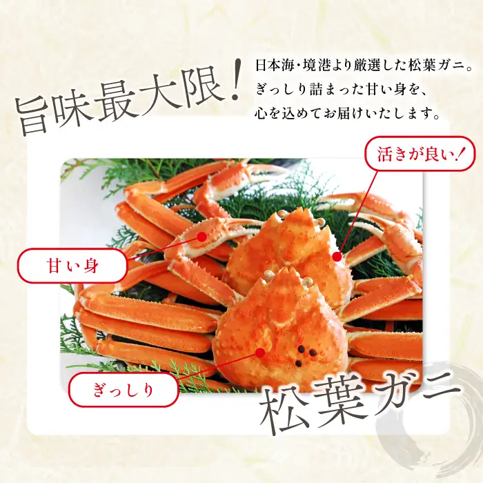 【蒸し】ご自宅用松葉ガニ 大 1枚【松葉ガニ 松葉がに 松葉蟹 まつばがに かに カニ 冷蔵 チルド ブランド ズワイガニ 蒸し ボイル 自宅用 国産 季節限定 お取り寄せ 鳥取県 日吉津村 日本海】