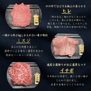 【京の肉】京都産黒毛和牛希少部位入り焼肉セット 肉 3種盛 ヒレ 肉 包装なし