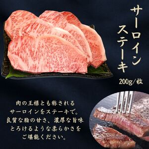 京都府産黒毛和牛【京の肉】サーロインステーキ 600g 包装有り