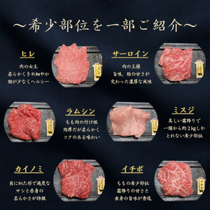 京都府産黒毛和牛【京の肉】 希少部位入り焼肉セット梅 6種盛 600g(100g×6) 包装有り
