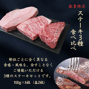 京都府産黒毛和牛【京の肉】 ステーキ 食べ比べセット 600g 包装なし