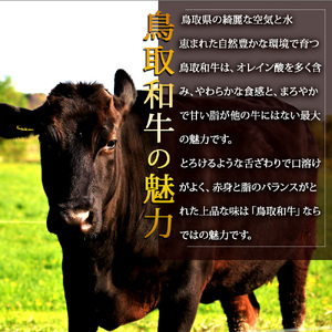 A5ランク 鳥取和牛シャトーブリアン 2枚 合計300g 牛肉 精肉 肉 カタセイ シャトーブリアン ヒレステーキ ヒレ ステーキ 肉 フィレステーキ ステーキ お肉 和牛 高級ヒレステーキ ヒレ肉 最高級 黒毛和牛 牛肉 お肉