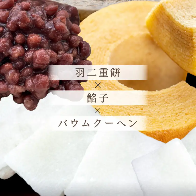 【寄附額見直し】羽二重結びバウム 10個  洋菓子 スイーツ 銘菓 [A-08225]