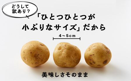 【2026年10月発送！】北海道産 じゃがいも 訳あり 5kg"お楽しみランダム"きたあかり メークイン ノーザンルビー レッドムーン 北海黄金