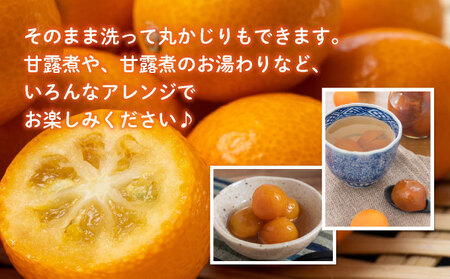 【先行予約】＜2026年発送＞温室金柑 1kg 2箱（250g×8パック）_K001-026