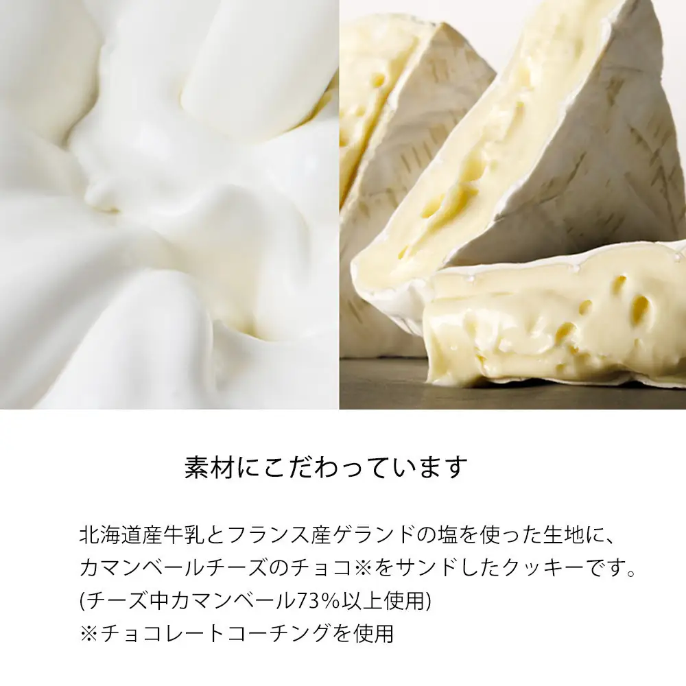 【東京ミルクチーズ工場】ソルト&カマンベールクッキー9枚入3箱セット