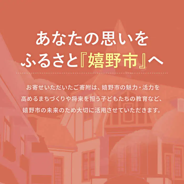 佐賀県嬉野市まちづくり応援寄附金 3千円分 NZY953 嬉野市 寄附金