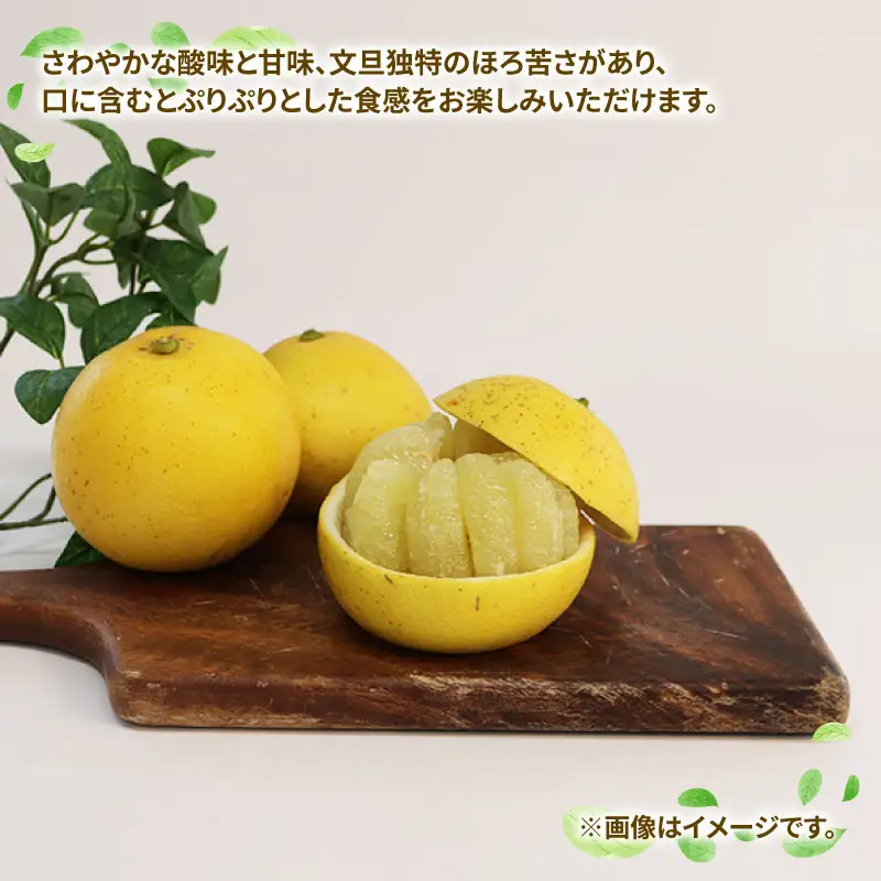 訳あり 文旦 約7kg 玉津柑橘倶楽部 文旦 B010-072046