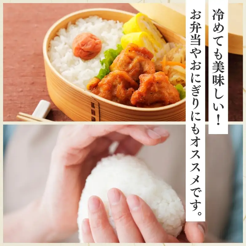 【3か月定期便】柿崎区厳選 コシヒカリ 無洗米 5kg ブランド米 コシヒカリ