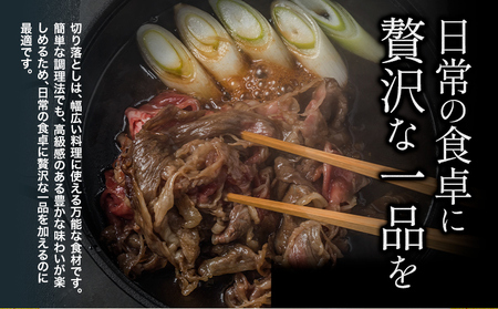 常陸牛切り落とし1000g《30日以内に出荷予定(土日祝除く) 》【配送不可地域あり】常陸牛ブランド牛肉茨城県