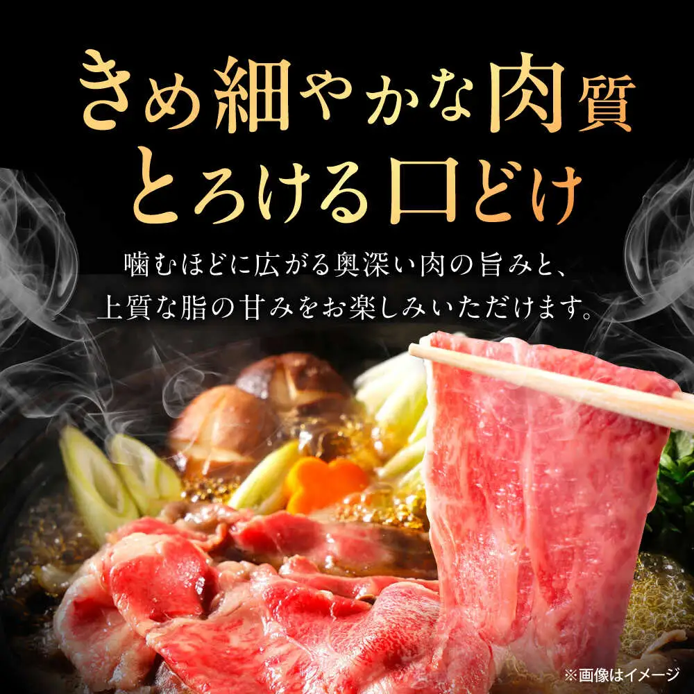 【12回定期便】佐賀牛 ローススライス すき焼き・しゃぶしゃぶ用 500g /MKミート武雄[UEM042] しゃぶしゃぶ
