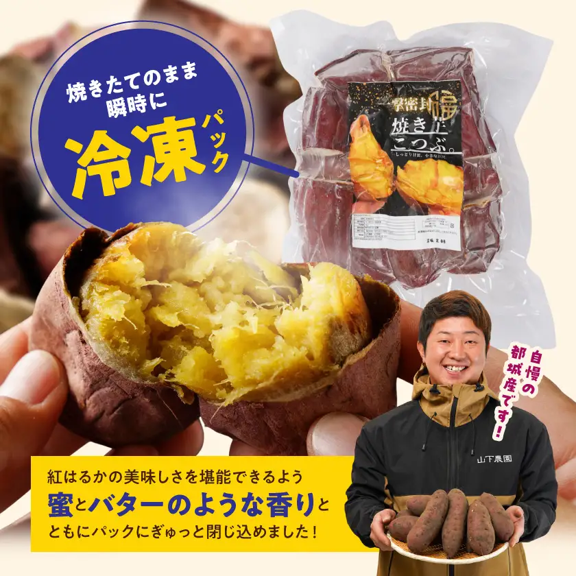 【訳あり】「一撃蜜封こつぶ」ひと口焼き芋1kg〔LC-I702〕_(都城市) 都城産 紅はるか さつまいも 蜜焼き芋 冷凍パック 極小サイズ