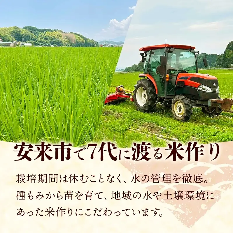 【先行受付】 島根県安来市産 きぬむすめ 玄米 30kg 【令和8年産 新米 先行予約 新米予約 お米 こめ コメ 米 ごはん ご飯 国産 お弁当 美味しい 人気 おすすめ 島根県 安来市】【75-HI-02】