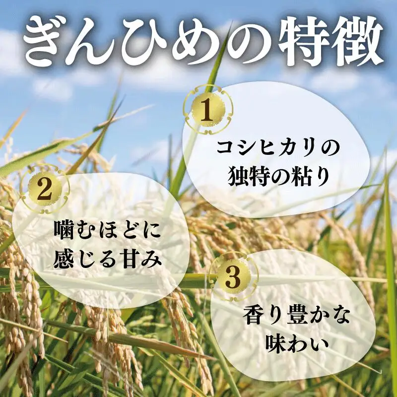 米 三重県産 コシヒカリ ぎんひめ  5kg×1袋