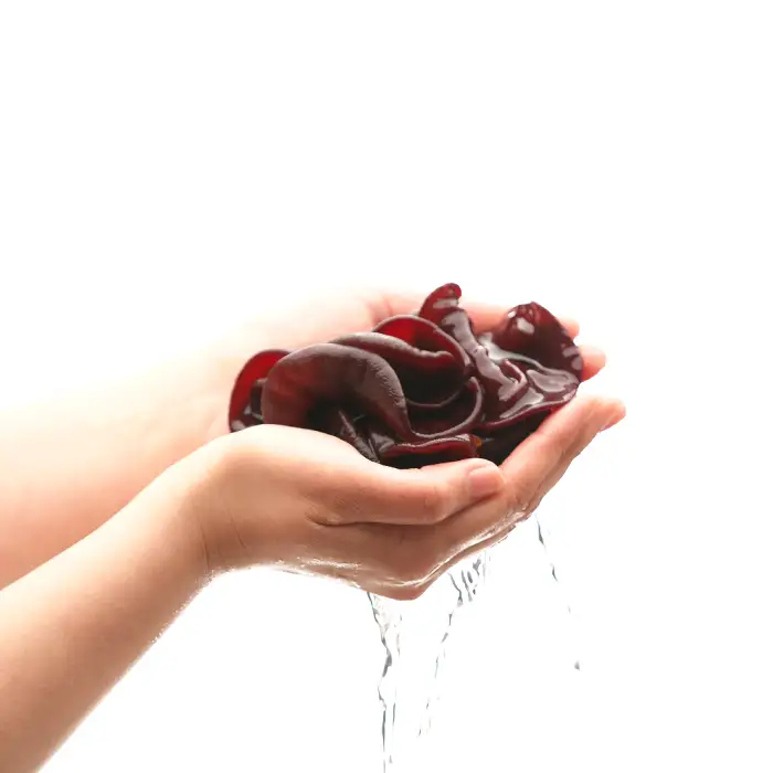 敏感肌や乾燥肌の方におすすめ！森くらげ化粧水とクリーム【コスメ 化粧水 クリーム スキンケア 美容 化粧品 エイジングケア きくらげ 天然成分】