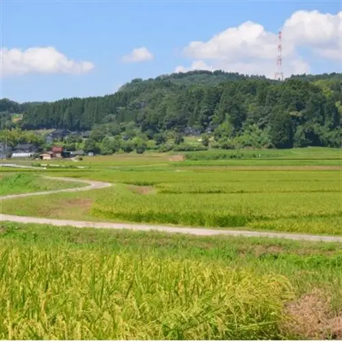 【新米先行受付 2026年10月上旬～順次発送】令和8年富山県産「コシヒカリ」(精米)5kg×1袋【1656079】