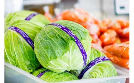 岩手町産の旬野菜セット（5品以上）3ヶ月定期便 