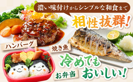 新米 コシヒカリ5kg 白米 [AQDH001] コシヒカリ