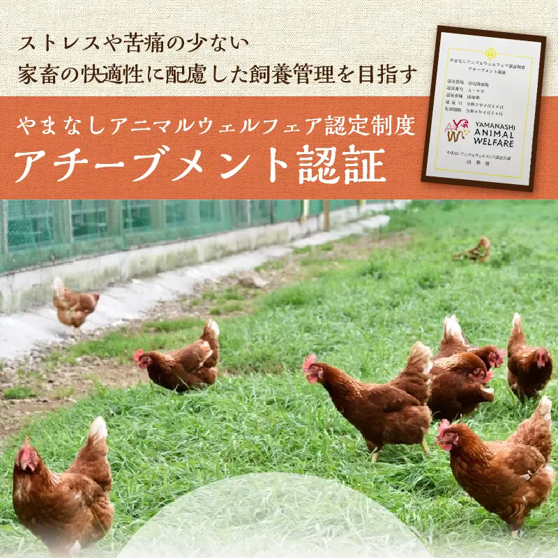 【10月配送分】忍野の平飼い放牧卵30個（25個＋割れ保証5個）