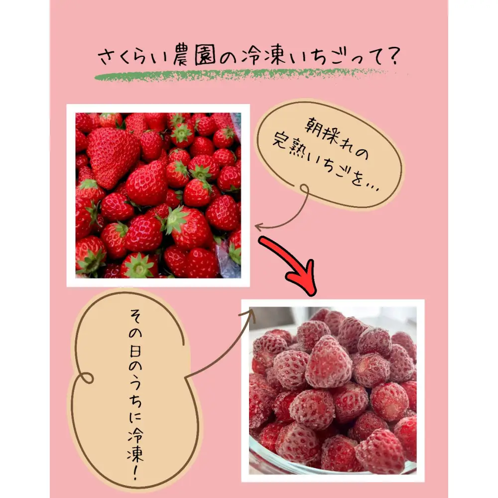 【ふるなびWEEK対象】【訳アリ 冷凍いちご】静岡県産の完熟紅ほっぺを使用した冷凍いちご1kg【静岡県産】
