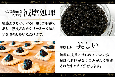 〈3回定期便〉【桐箱入り】キャビア 20g × 3回配送 計60g【世界三大珍味×日本三大秘境】 宮崎 椎葉 国産 チョウザメ キャビア 魚卵 定期便 魚介 珍味 贈答 SZ-103_3teiki