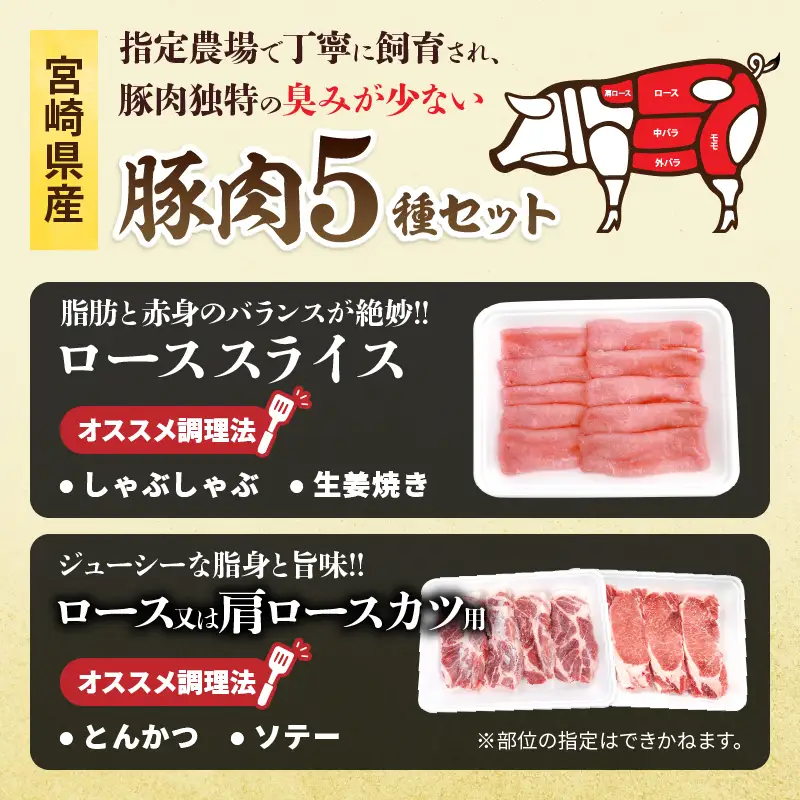 宮崎県産 豚肉 5種 セット (合計3kg) 国産 食品 豚バラ 切り落とし ロース スライス ミンチ 焼肉 BBQ しゃぶしゃぶ 生姜焼き とんかつ ソテー 豚丼 ハンバーグ 個包装 小分け おすすめ おかず お弁当 晩ご飯 手軽 便利 ギフト 贈り物 冷凍 日南市 送料無料_CC69-25