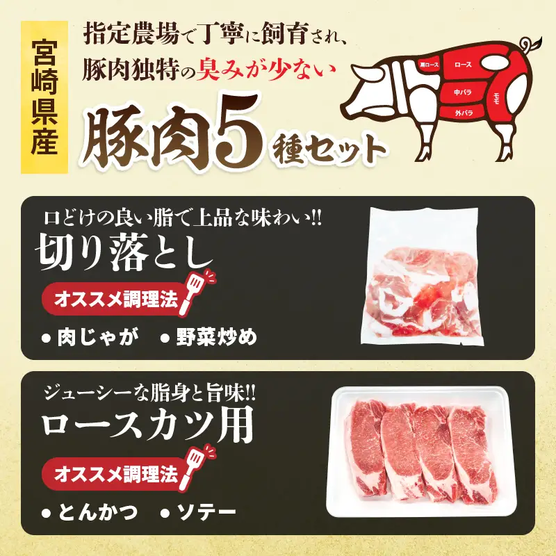 宮崎県産 豚肉 5種 セット (合計3.2kg) 国産 食品 豚バラ 切り落とし ロース スライス 焼肉 BBQ しゃぶしゃぶ 生姜焼き とんかつ ソテー 豚丼 野菜炒め 冷しゃぶ 個包装 小分け おすすめ おかず お弁当 晩ご飯 手軽 便利 ギフト 贈り物 冷凍 日南市 送料無料_CD73-25