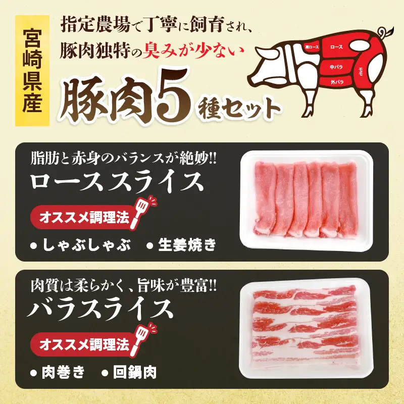 宮崎県産 豚肉 5種 セット (合計5kg) 国産 食品 ロース 豚バラ スライス 切り落とし ミンチ しゃぶしゃぶ 生姜焼き とんかつ ソテー 豚丼 ハンバーグ 餃子 個包装 小分け おすすめ おかず お弁当 晩ご飯 手軽 便利 ギフト 贈り物 冷凍 日南市 送料無料_DC33-25