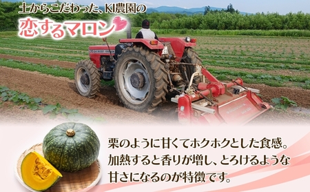 かぼちゃカットかぼちゃ恋するマロン 北海道産 かぼちゃ【2kg500g×4袋】【冷凍】