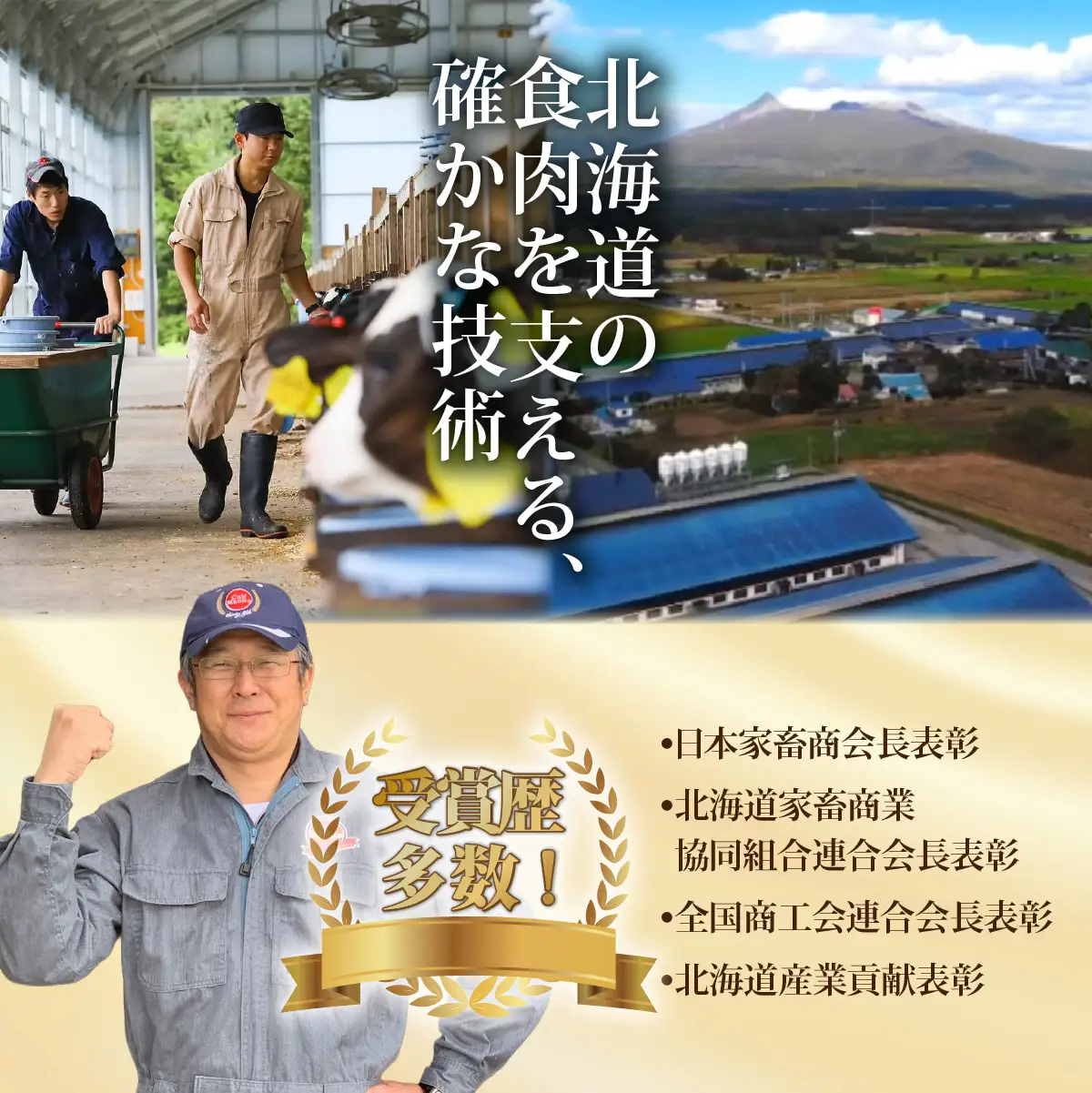 【北海道ブランド牛】大沼黒牛ステーキ（サーロイン500g） NAM017
