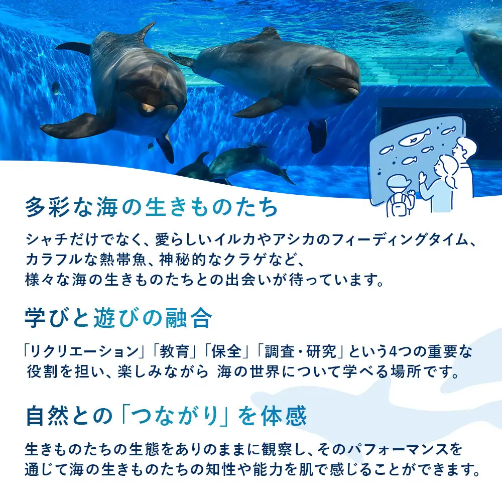 神戸須磨シーワールド（水族館）入館券　2枚セット（有効期限：～2027年3月31日）