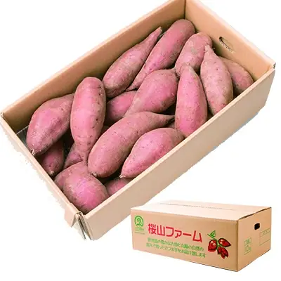 【先行予約】本場鹿児島さつまいも【シルクスイート】6kg　2026年10月より発送A3-58【配送不可地域：離島】【1170448】