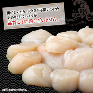 訳あり ホタテ 500g ＼ ほたて ／
